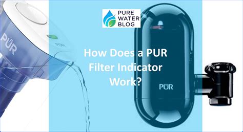 pur water filter smells like fish|Why Does My Water Filter Smell Like Fish – Water Filterer.